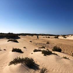 Culetra island is basically a sandy strip with 2 villages.