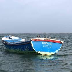 4 little birds and me trying to get this image while navigating the dinghi