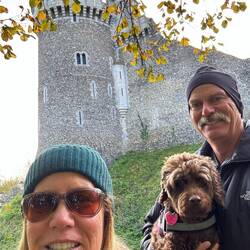 41 degrees and fall in France