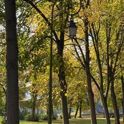 Fall colors every where