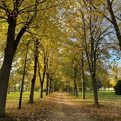 Walk to the château