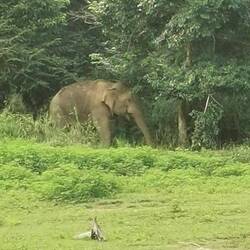 Unsere erste Sichtung