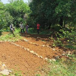 Arbeit im Schmetterlingsgarten