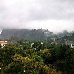 Angekommen im Regen.
