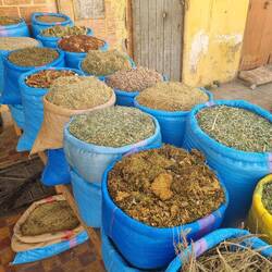 Kräuter im Angebot. Es riecht wunderbar!