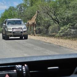 ...erläbsch in Afrika...