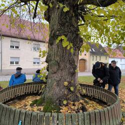 Rastplatz in Hirschroda