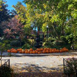 Back in Baltimore, Spaziergang durch Bolton Hill