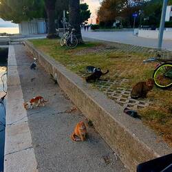 Warten auf Nachschub