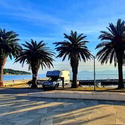 Stellplatz unter Palmen