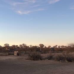 Quivertree Forest Rest Camp