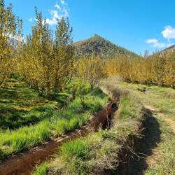 Überall Apfelplantagen und Wasserkanäle...