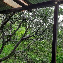 Es regnet Bindfäden