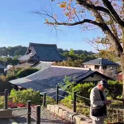 Beautiful view with steel pan street music