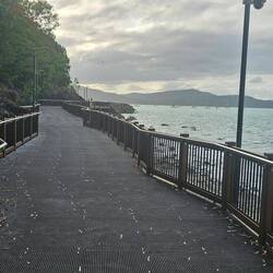 Nice walking trails on the Airlie shoreline