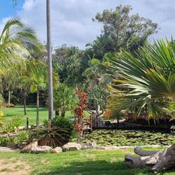 gepflegte Gartenanlage