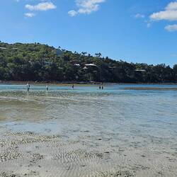 Low tide moved the shoreline back 40 feet; we were kayaking where those people are standing!