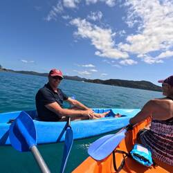 The Hunting Party makes a plan to find turtles!