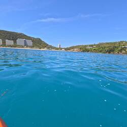 On the hunt to find turtles!