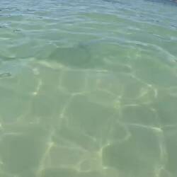 Walking in the shallow water (ie. <2ft) it's surprising what you find