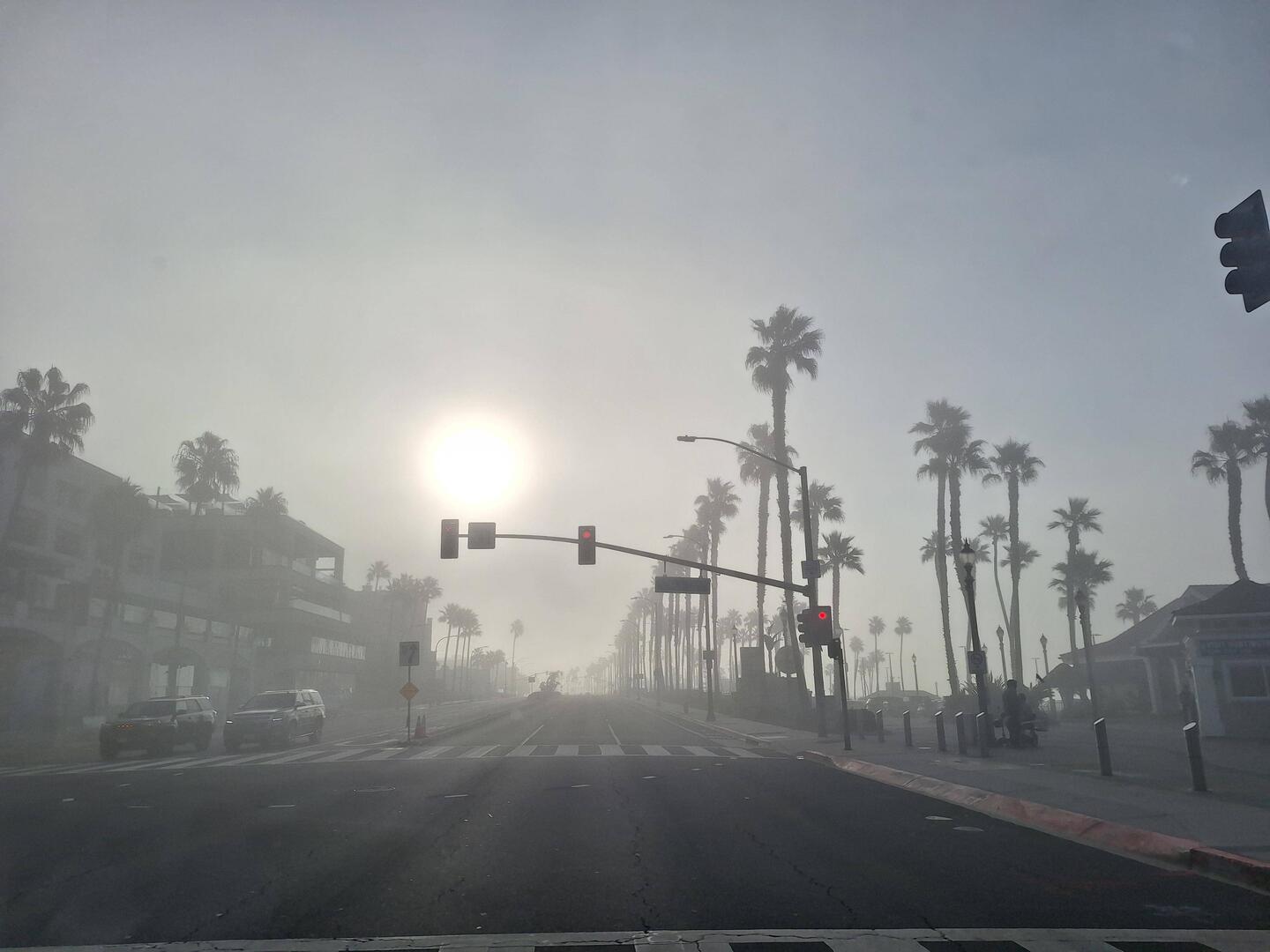 Foggy morning