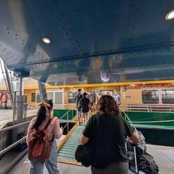 Ferry to Manley