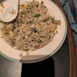 Audrey had vegetarian fried rice. She decided to not include tofu.....