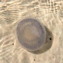 Und leider DAS zu spät bemerkt 🫣🙈