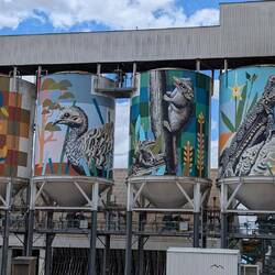 Newdegate Silo Art