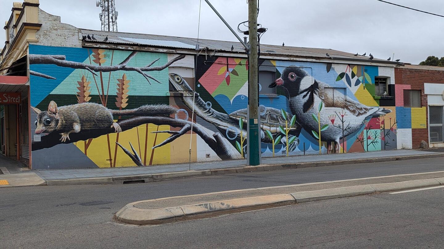 Katanning Steet Art