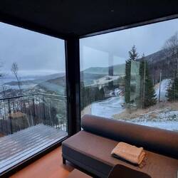Im Wohnzimmer sitzt man direkt im Wald