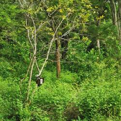 Alarmsystem am Draht