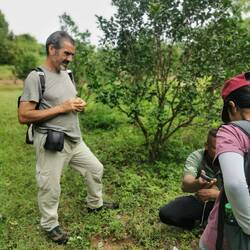 Vermessung der Bäume