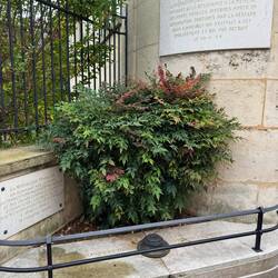 Memorial to the citizens lost to Nazi and Vichy supporters