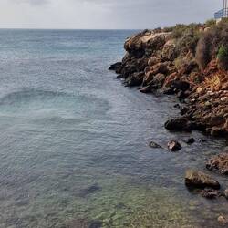 Der Wind bläst heute ganz schön.