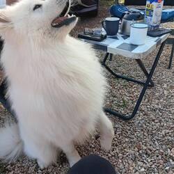 Elisabeth, Karsten und Snow begrüßen uns