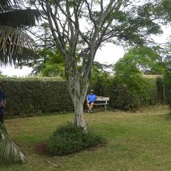 Finally made it to the middle of the hedge maze