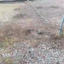 Unsere Täglichen Besucher