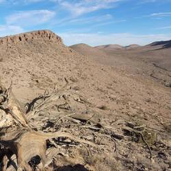 dry arid surrounding