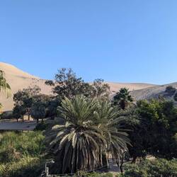 Huacachina