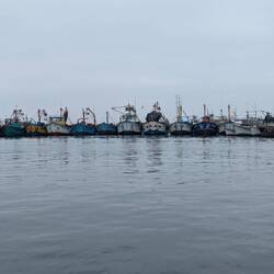 Fishing boats in Paracas harbour