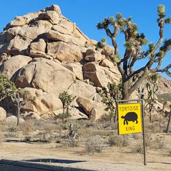 Leider ist uns keine über den Weg gelaufen