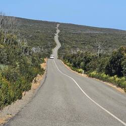 The drive to the lighthouse was just as interesting as some of our hikes!