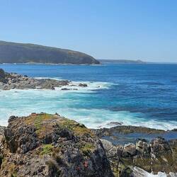 There were a ton of seals in that little pond-like area toward the bottom of this pic.