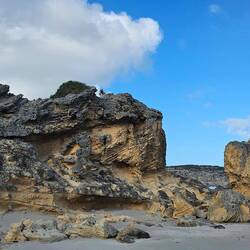 Pennington Bay Beach