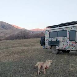 Zuhause angekommen dreht Mr. Linguini immer eine extra Runde😀