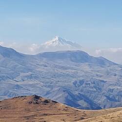 Der Ararat