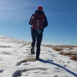 Kurz abwärts, dann wieder etwas hinauf👣