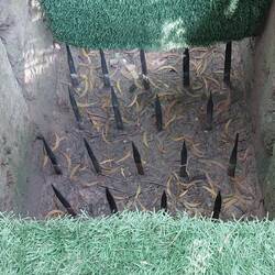 Viet Cong booby trap