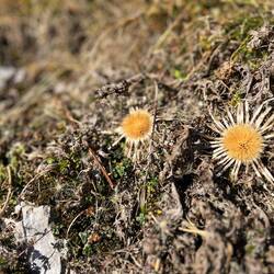 ..lassen den letzten Beweis des Sommers zurück..